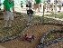 RC Jeeps